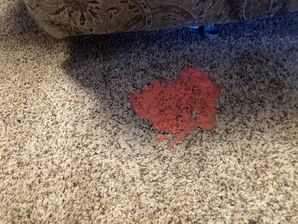 Stain Removal from Carpet in Brooklyn Heights, OH (1)