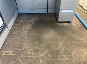 Before & After Commercial Carpet Cleaning in Cleveland, OH (1)